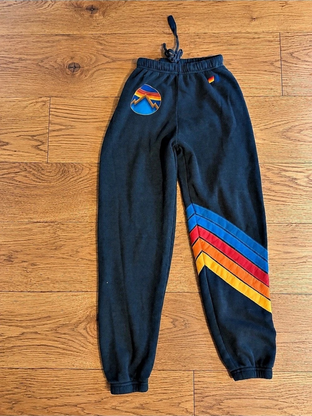 Aviator Nation Circle Chevron Sweatpants Color Block